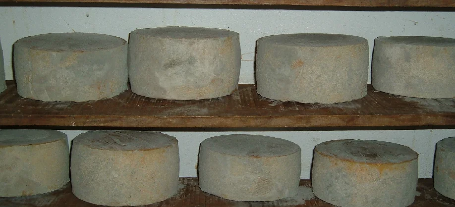 Artesanos del Arco Hernandez curacion queso.webp
